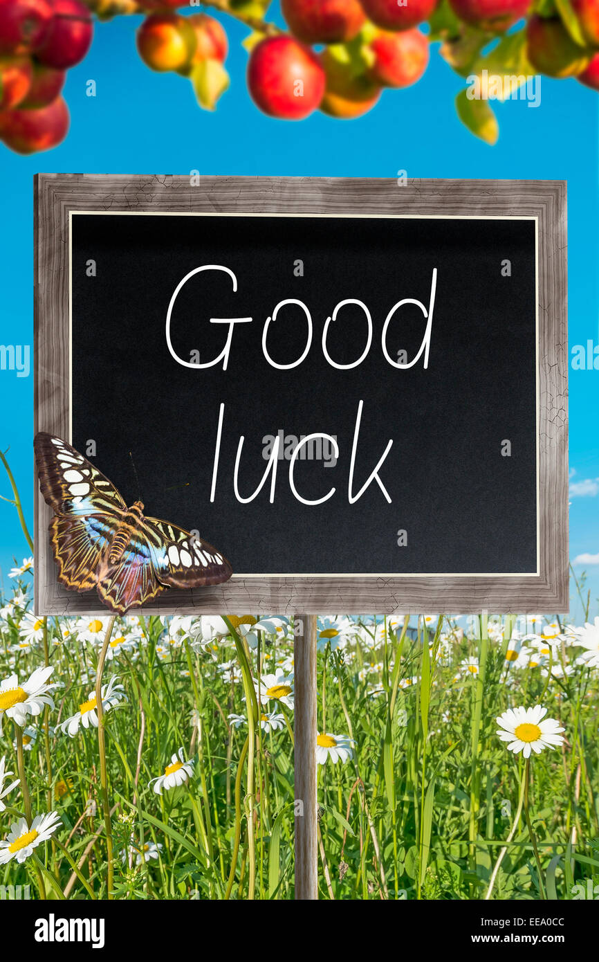 Blank chalkboard on a meadow with text Good luck Stock Photo