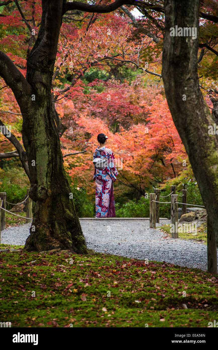 Japanese woman in traditional kimono visiting autumn maple leaves at Tofuku-ji Temple, showcasing the temple's famous fall foliage and zen garden atmosphere