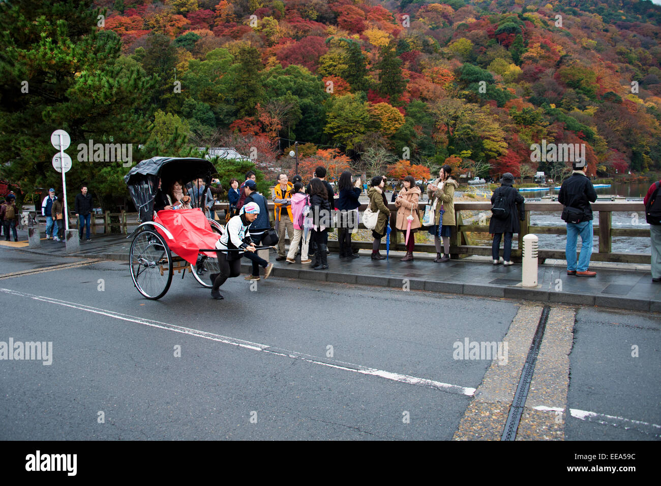 Rickshaw ride to see the autumn colors of Arashiyama, Kyoto, Japan