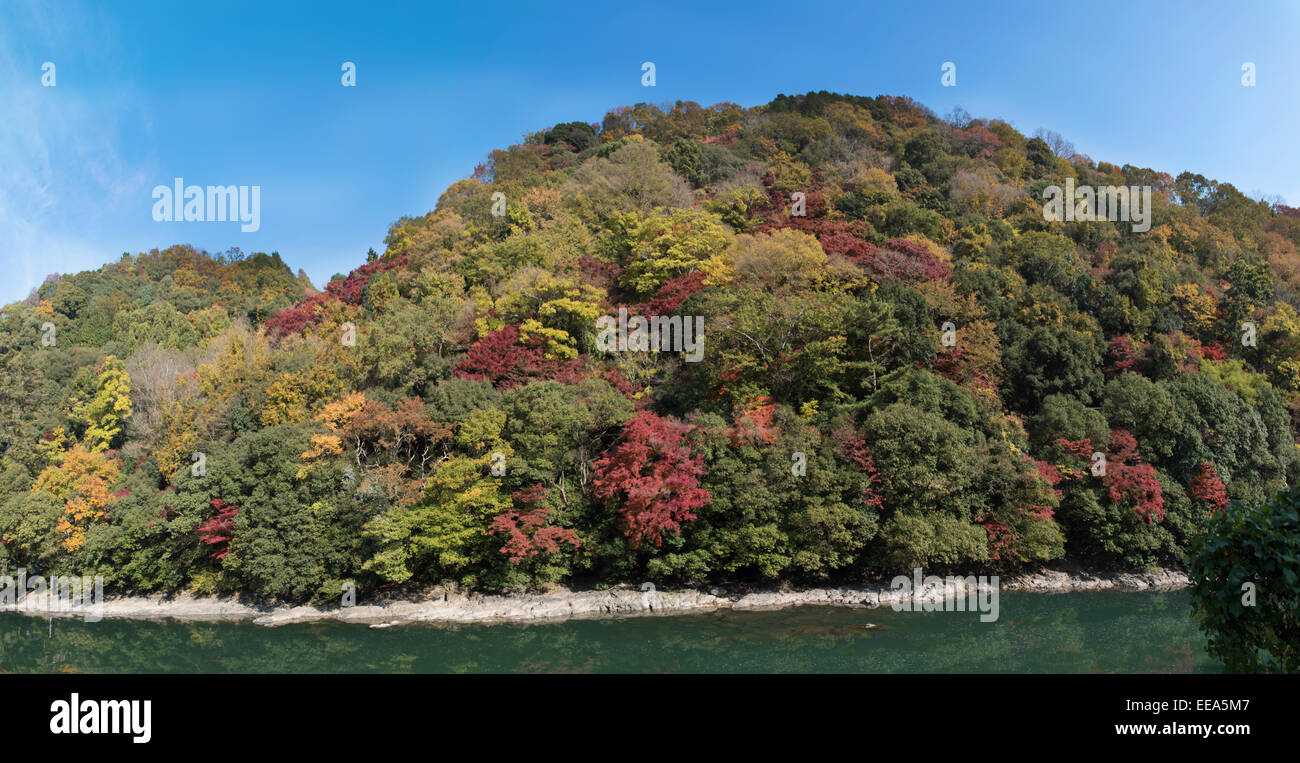 Autumn color in the Uji river valley, Kyoto, Japan. Stock Photo