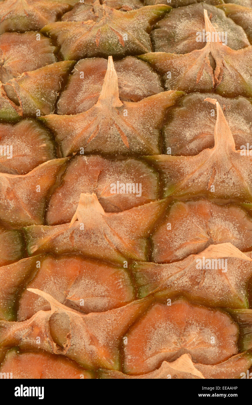 macro closeup of fresh pineapple skin portrait Stock Photo