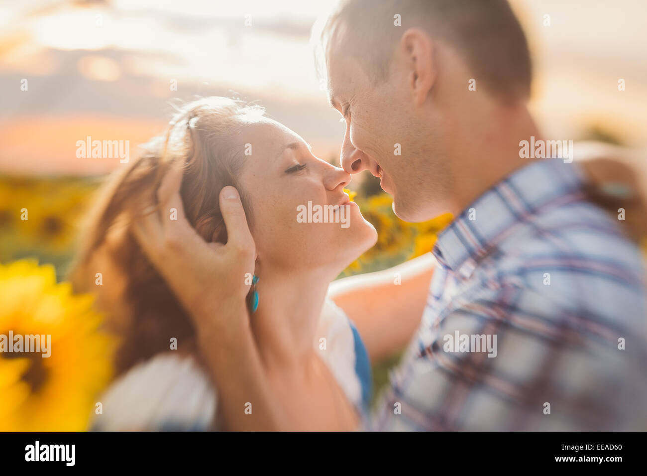 Beautiful couple having fun in sunflowers fields Stock Photo - Alamy