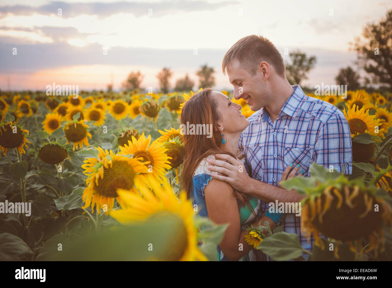 Beautiful couple having fun in sunflowers fields Stock Photo - Alamy