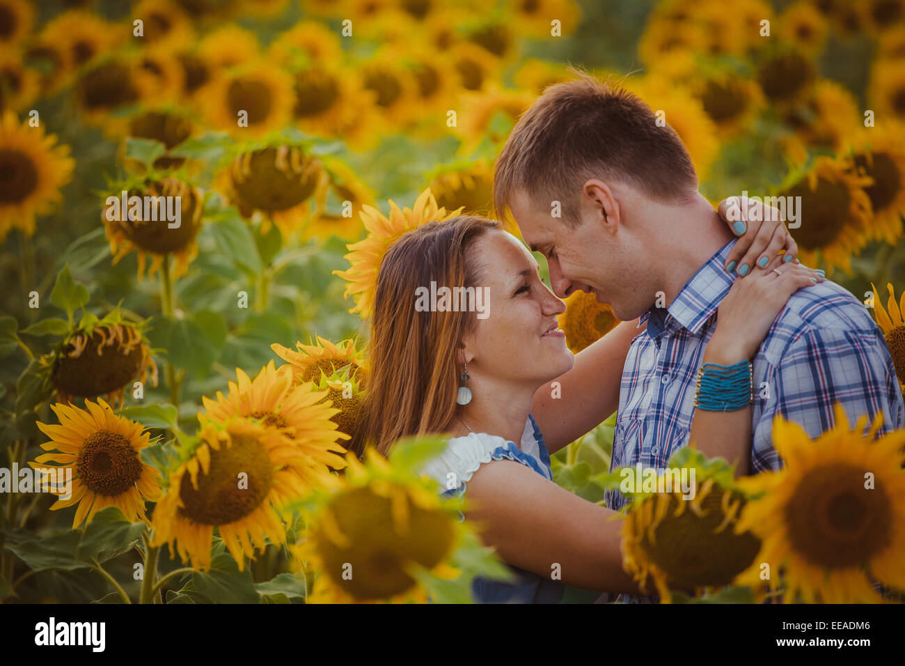 Beautiful couple having fun in sunflowers fields Stock Photo - Alamy