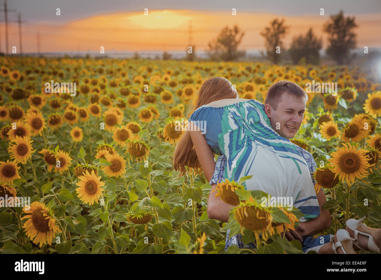 Beautiful couple having fun in sunflowers fields Stock Photo - Alamy