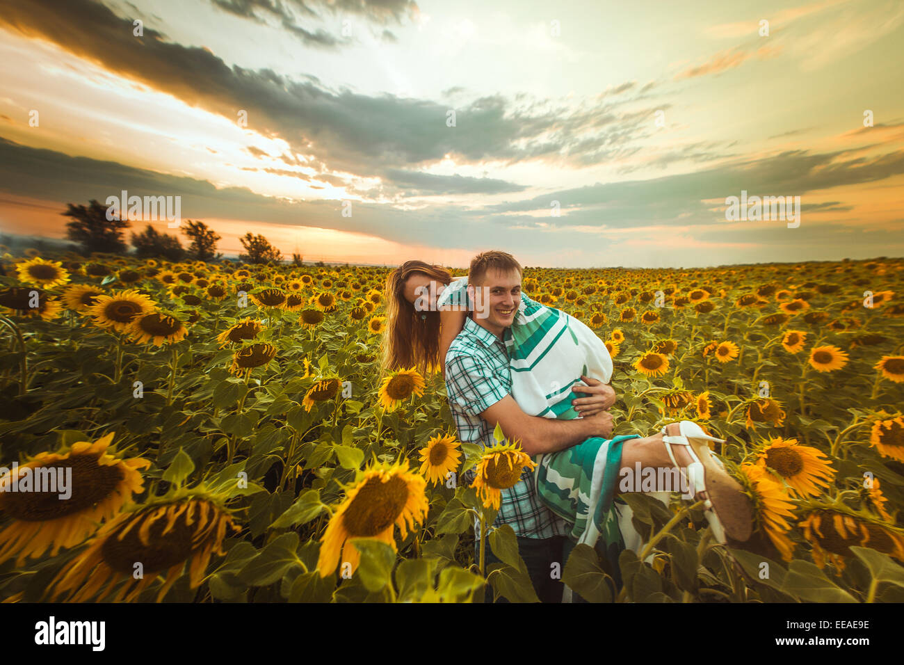 love couple standing outdoors in sunflower field Stock Photo - Alamy