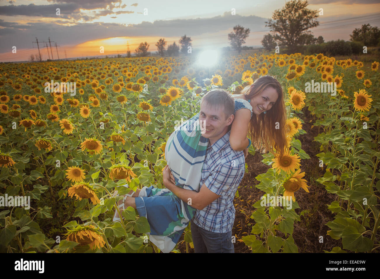 Beautiful couple having fun in sunflowers fields Stock Photo - Alamy