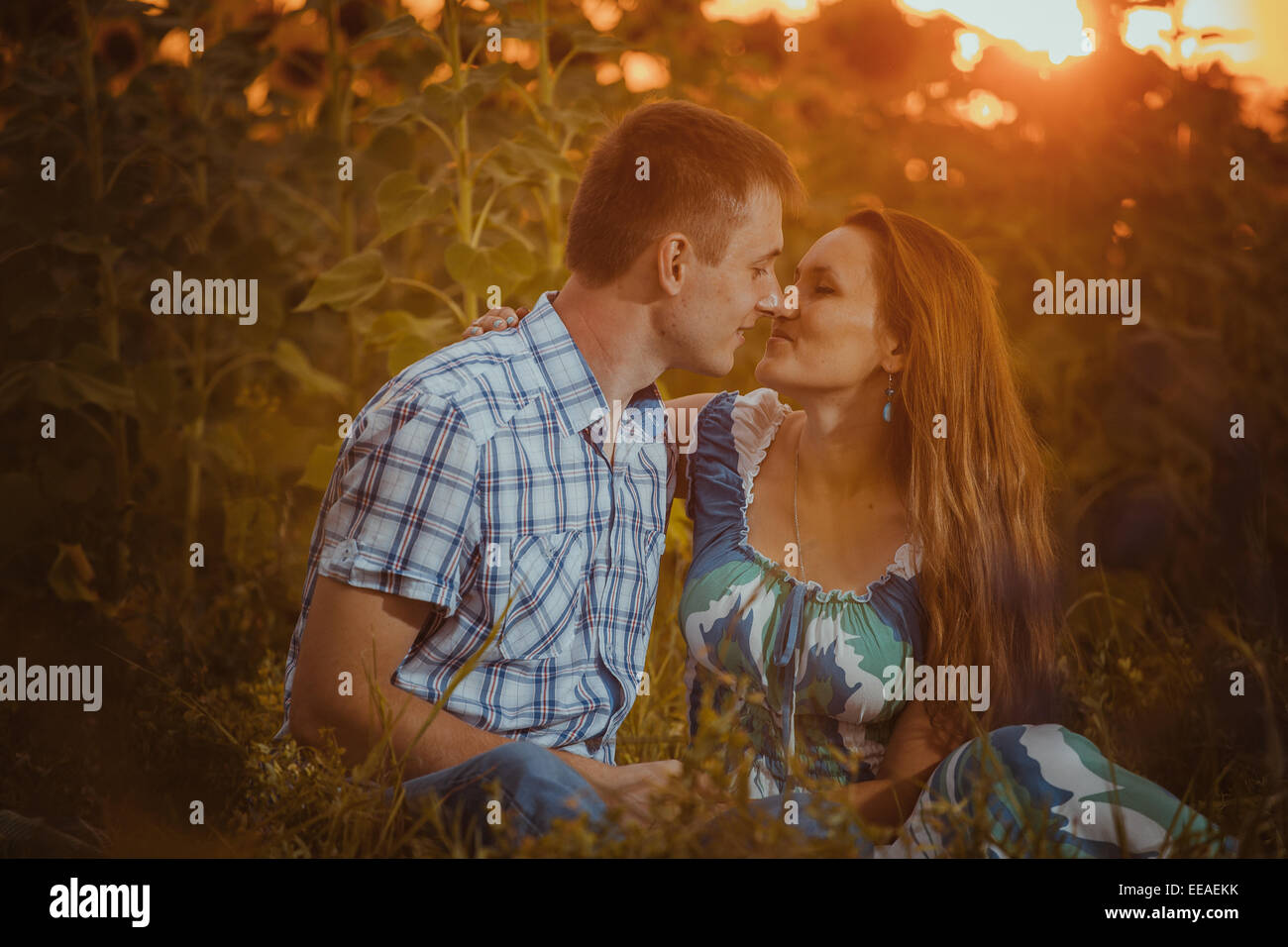 Beautiful couple having fun in sunflowers fields Stock Photo - Alamy