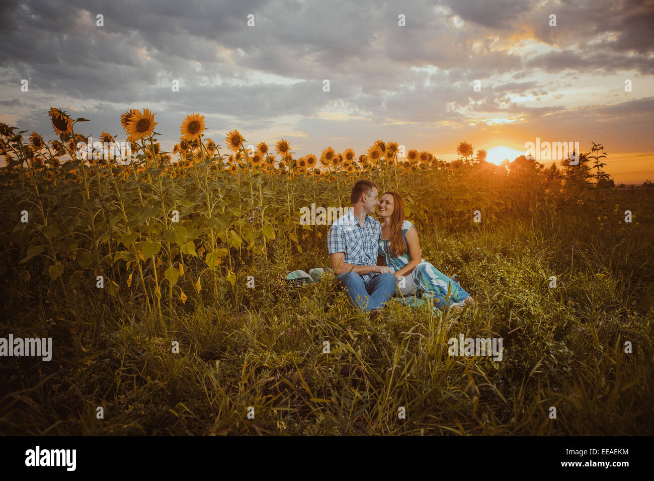 Beautiful couple having fun in sunflowers fields Stock Photo - Alamy