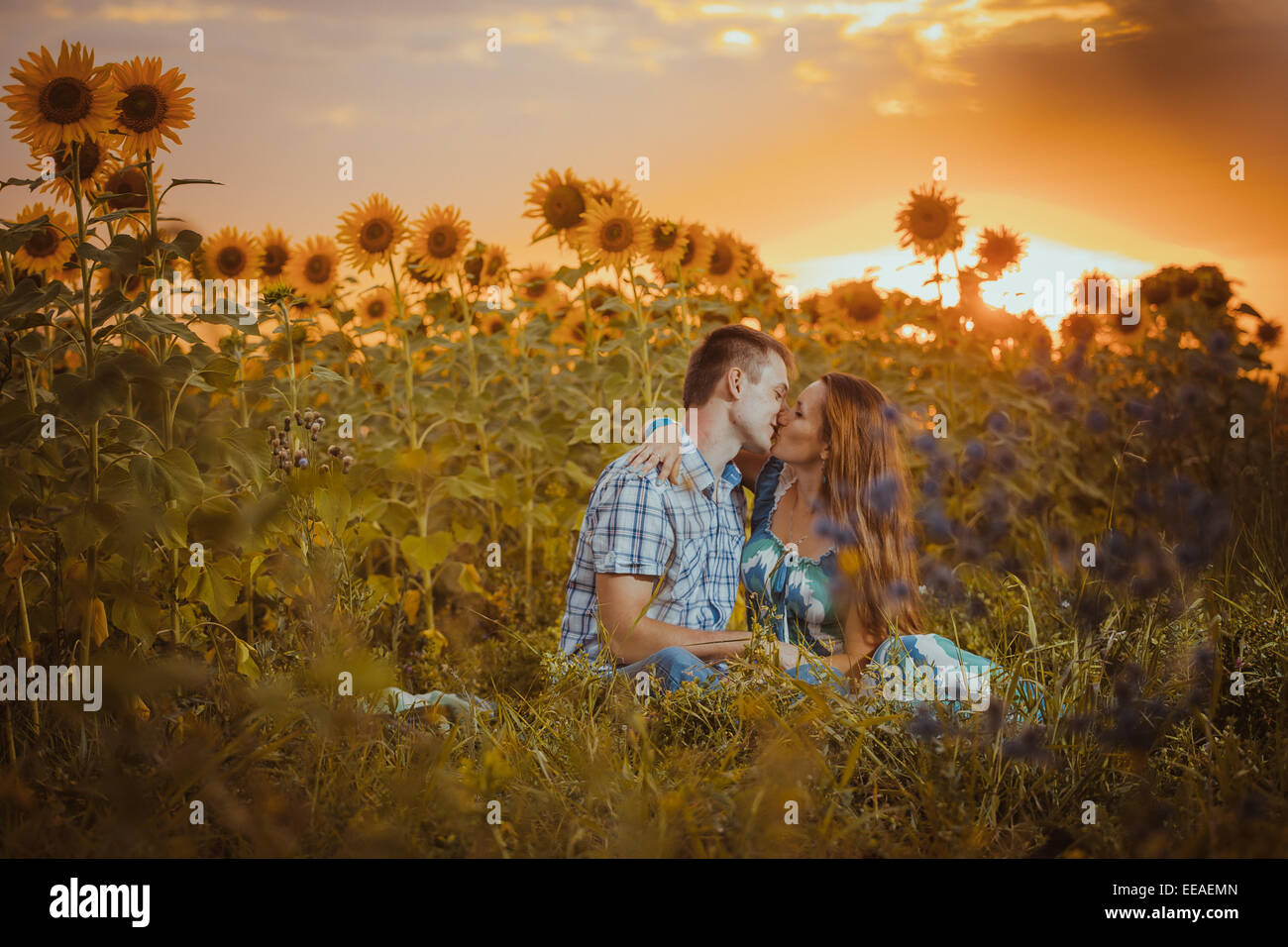 Beautiful couple having fun in sunflowers fields Stock Photo - Alamy