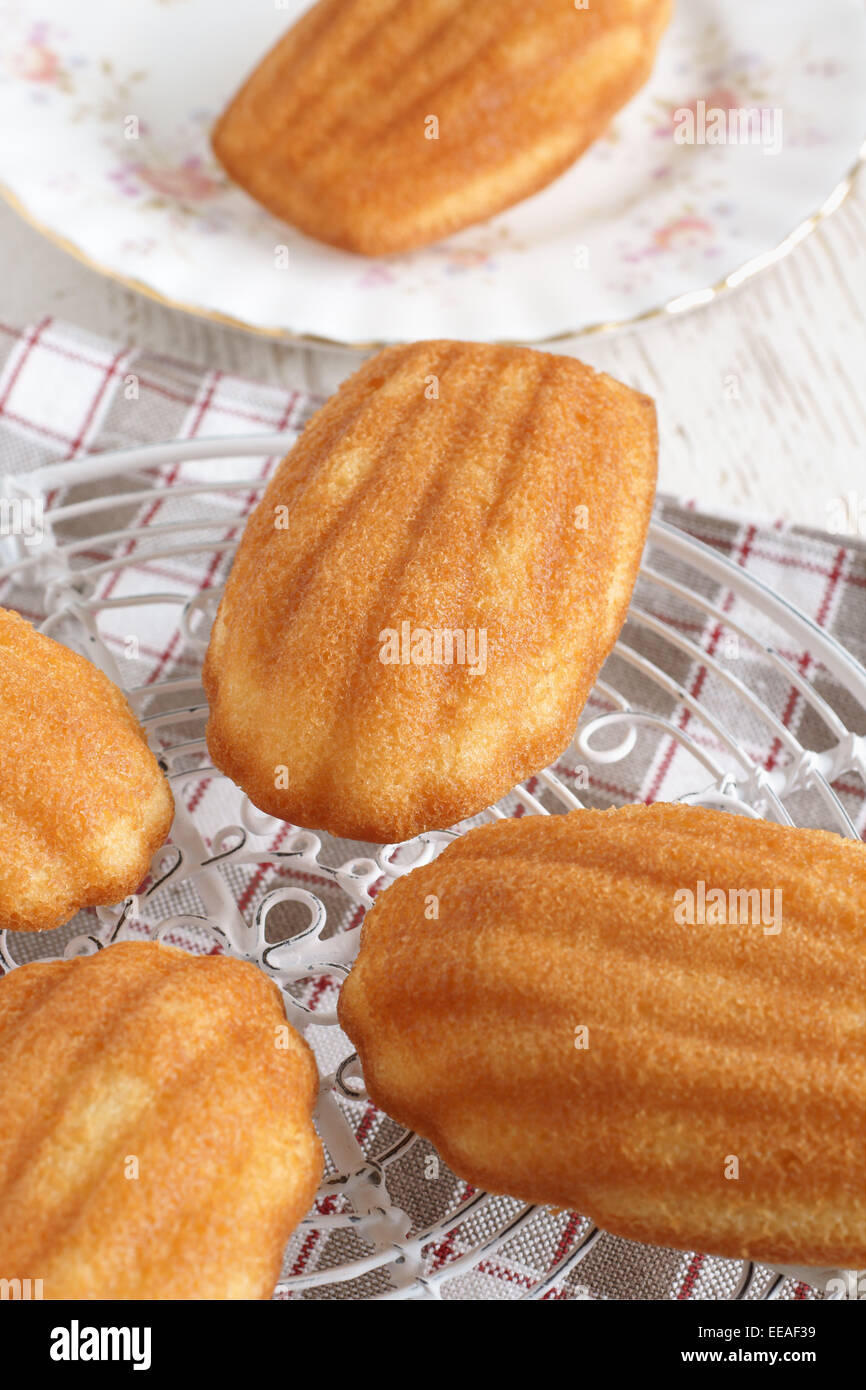 Madeleines or petite madeleine a traditional cake from the Lorraine region  of France Stock Photo - Alamy