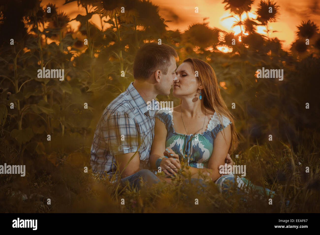 Beautiful couple having fun in sunflowers fields Stock Photo - Alamy