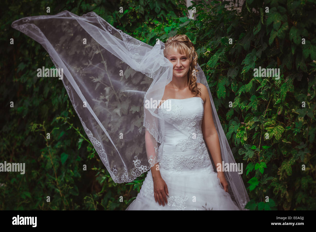Portrait of a beautiful smiling bride Stock Photo - Alamy