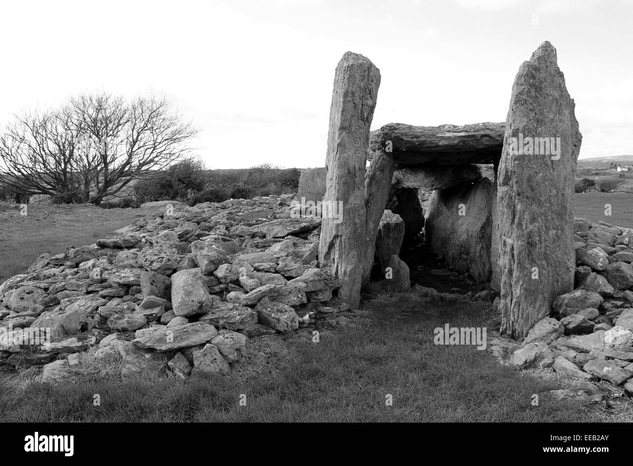 Trefignath Burial Chamber, Anglesey Stock Photo