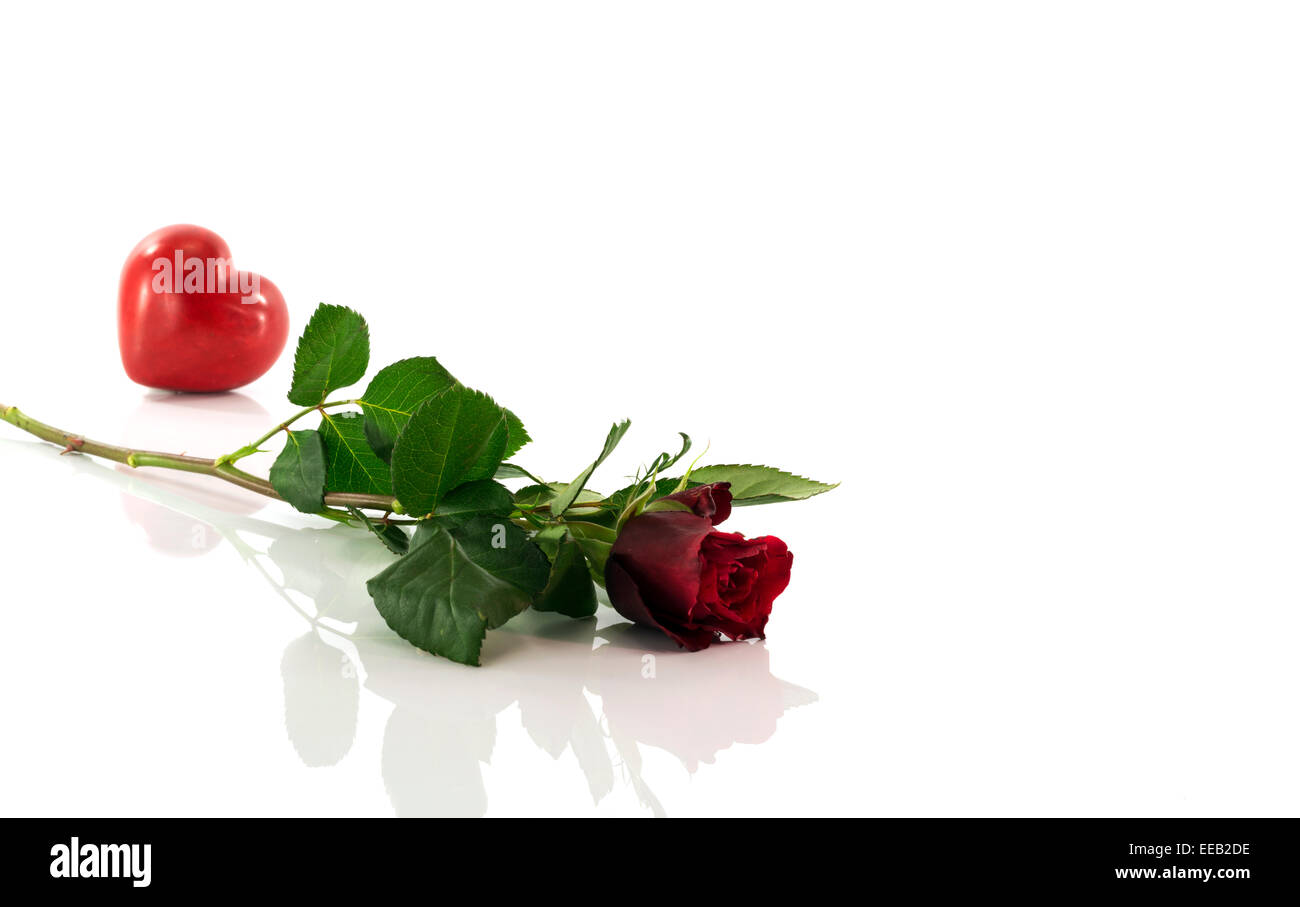 red rose with heart shape isolated on white Stock Photo - Alamy