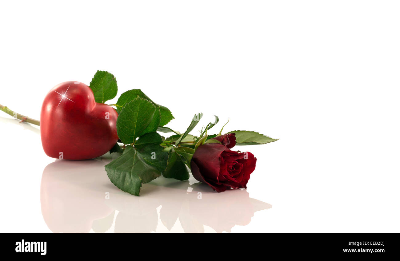red rose with heart shape isoalted on white Stock Photo - Alamy