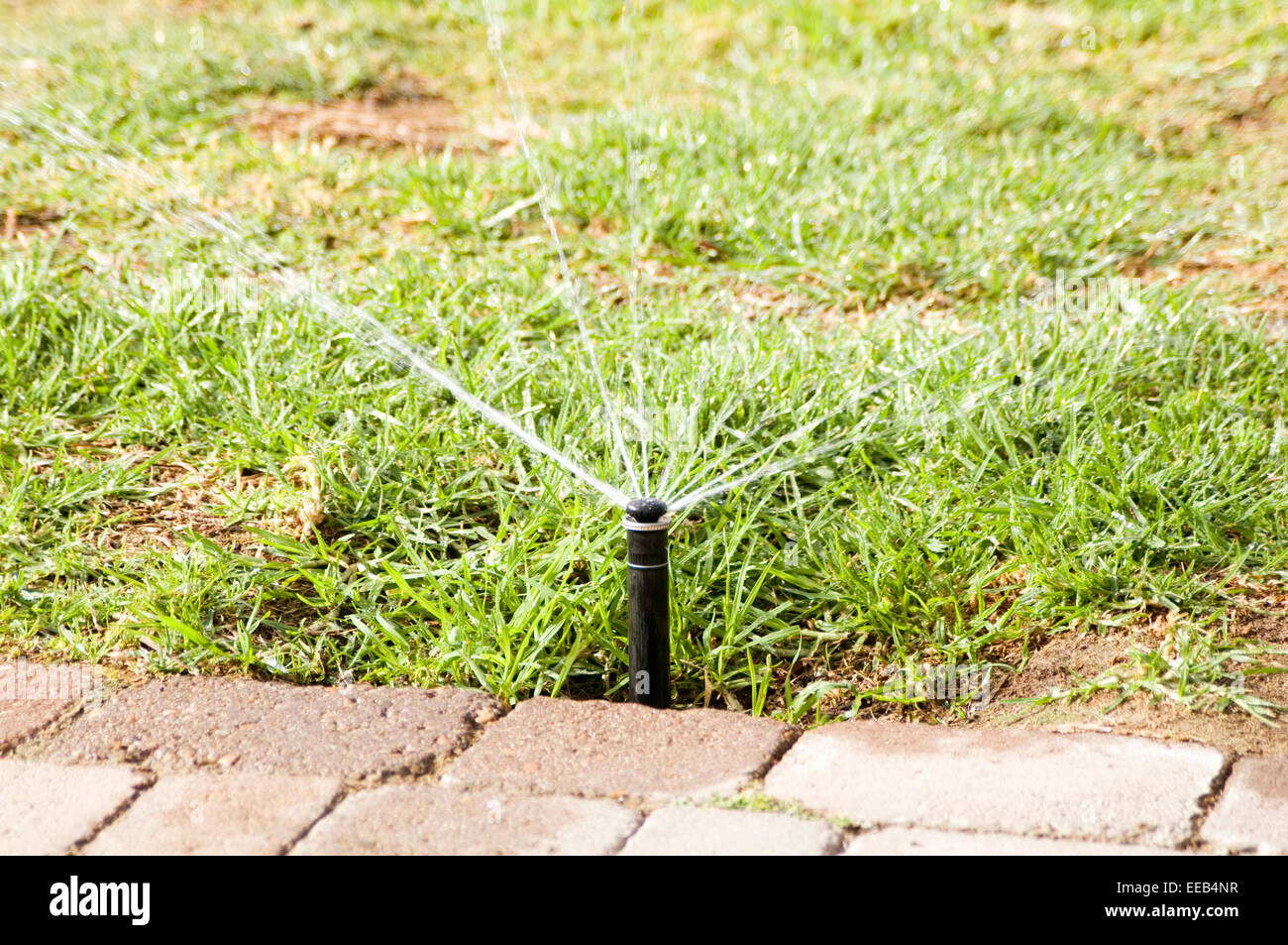 lawn grass sprinkler system sprinklers water watering irrigation