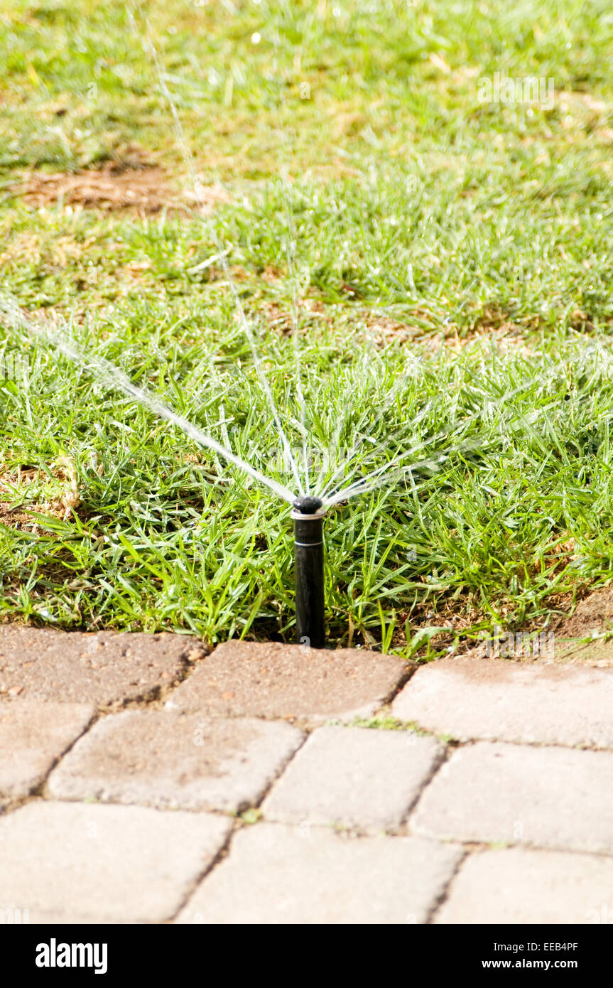 lawn grass sprinkler system sprinklers water watering irrigation