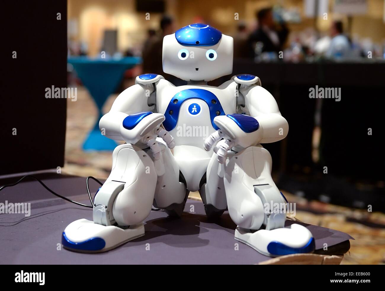 Роботы для детей. Доброжелательный робот. Робот-собака рекс 1045 wowwee. Запрограммировать робота. Программирование роботов.