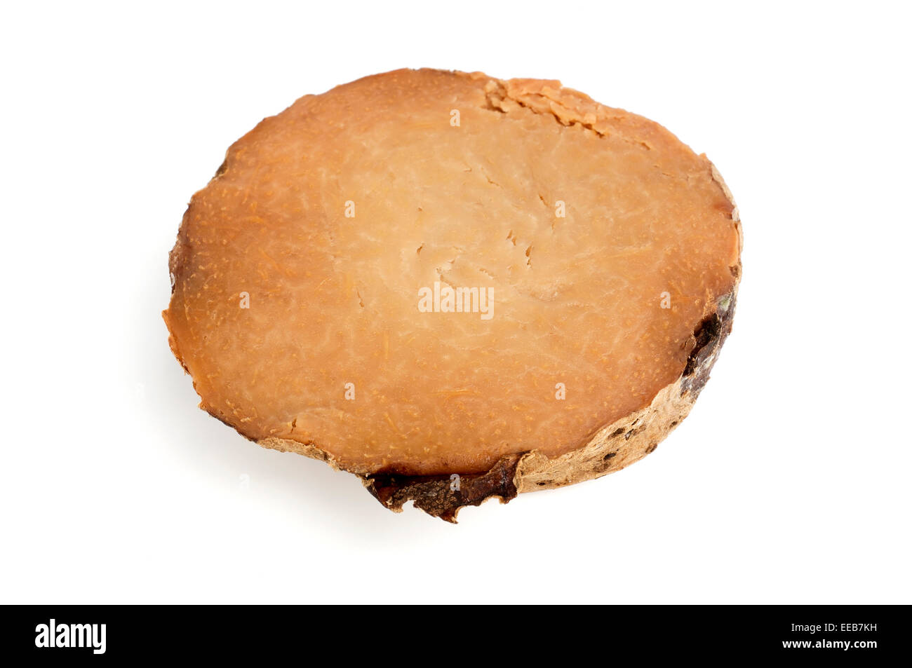 Mapuey Cut Out Stock Images & Pictures Alamy