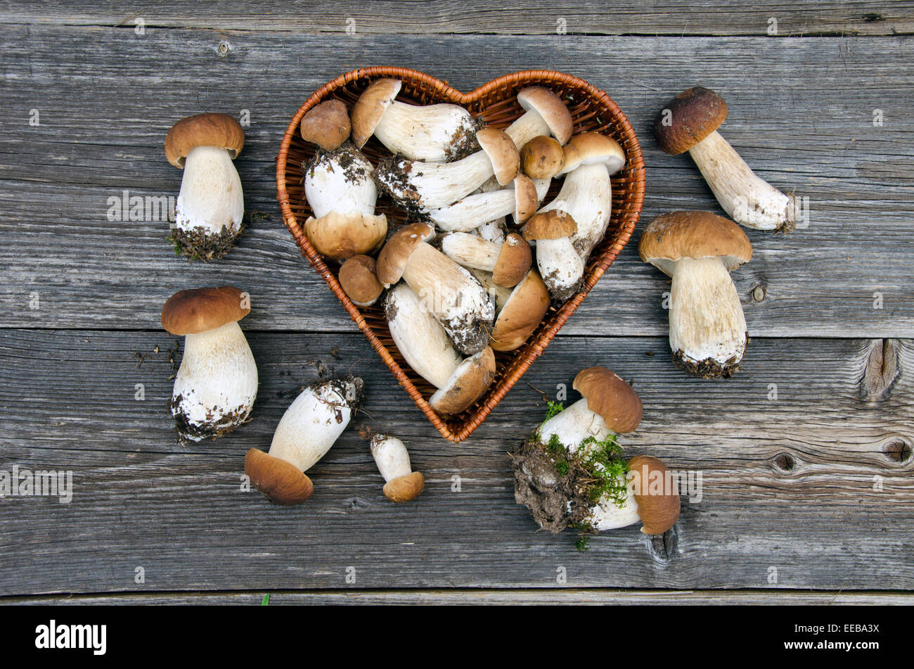 edible mushroom fungi boletus in heart form basket on old wooden table Stock Photo