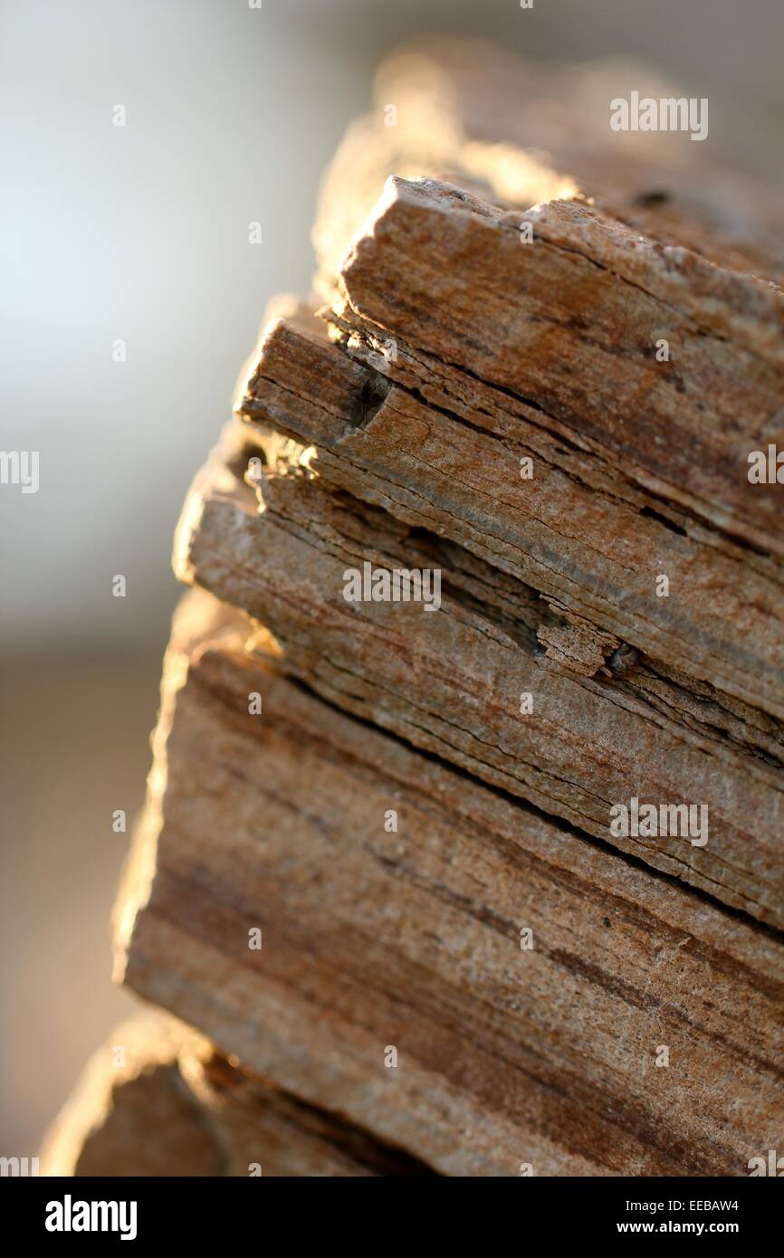 Rocks on the beach / 海滩岩石 Stock Photo