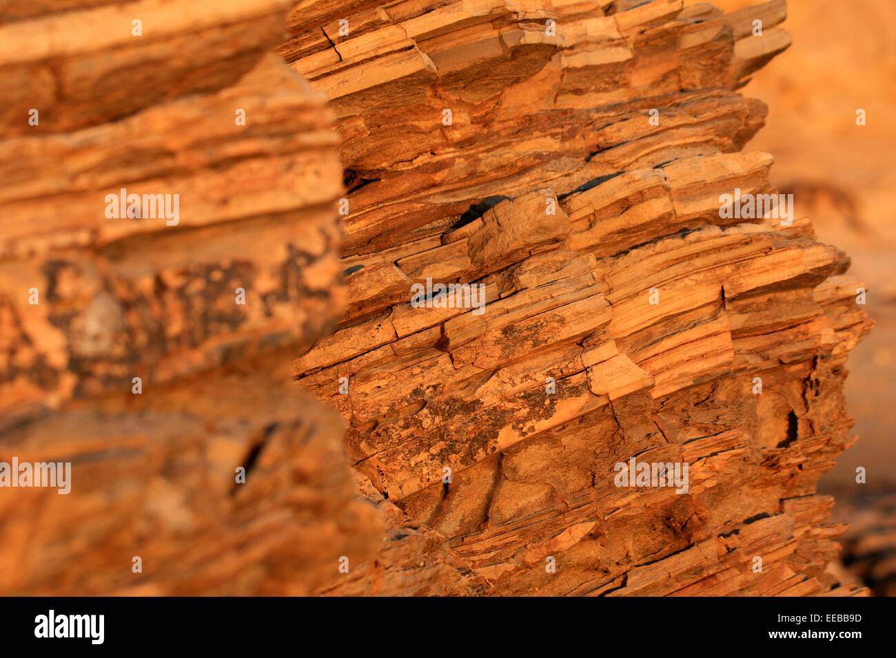 Rocks on the beach / 海滩岩石 Stock Photo