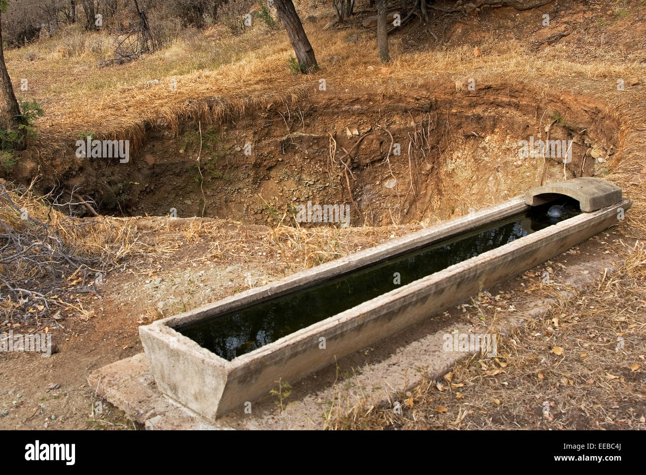 Cattle water trough besides large hole due to land falling into old mine shaft below causing danger to farm stock and animals Stock Photo