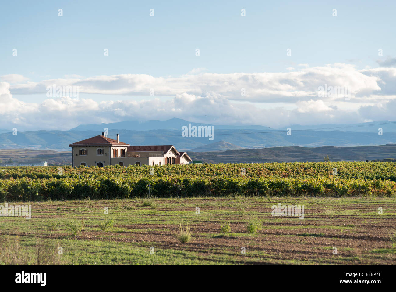 Bodega house farm farmhouse Rioja Spain Stock Photo
