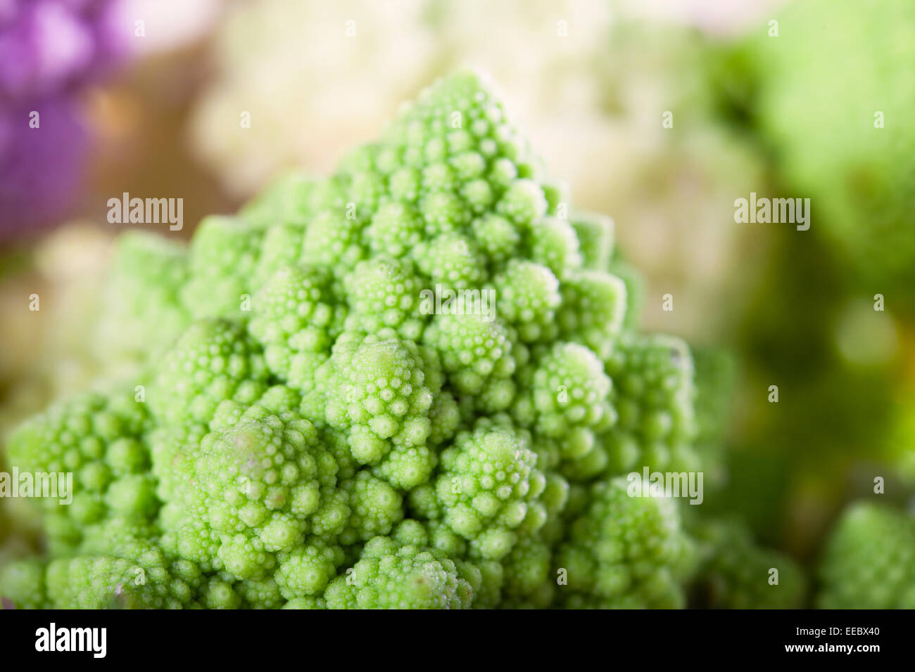 Close up of romanesco broccoli with other types of cauliflower out of