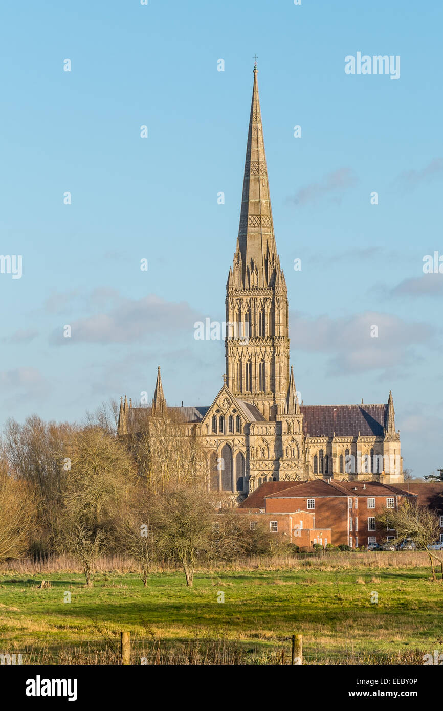 Salisbury Cathedral view from town path Salisbury Stock Photo