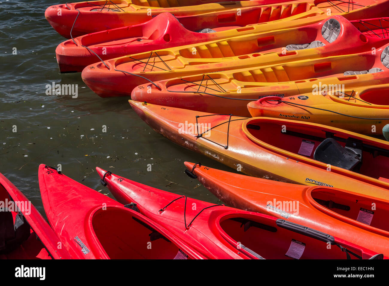 An outfitter's kayaks along the Russian River near its mouth at the