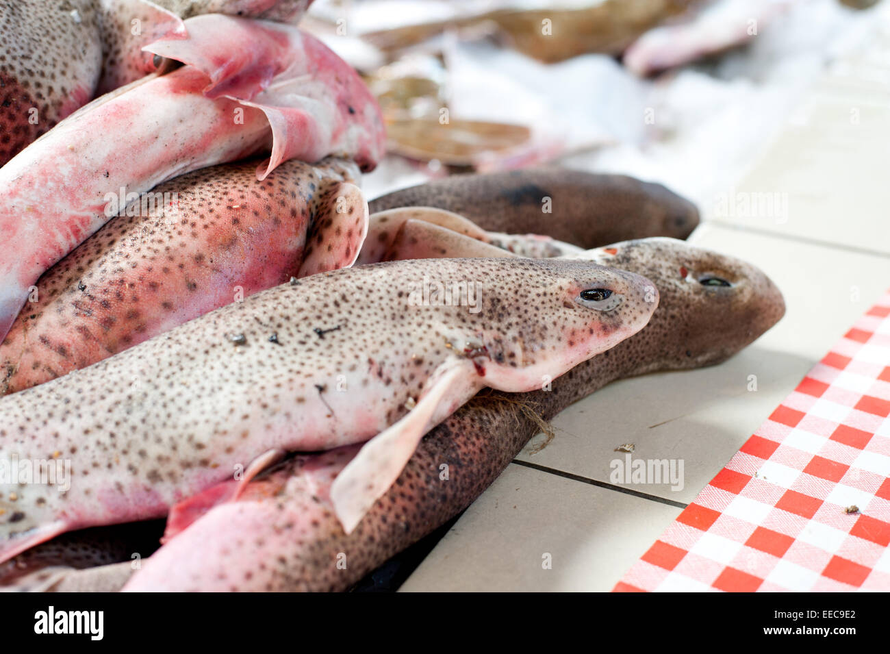 Fresh fish on ice in the country market Stock Photo