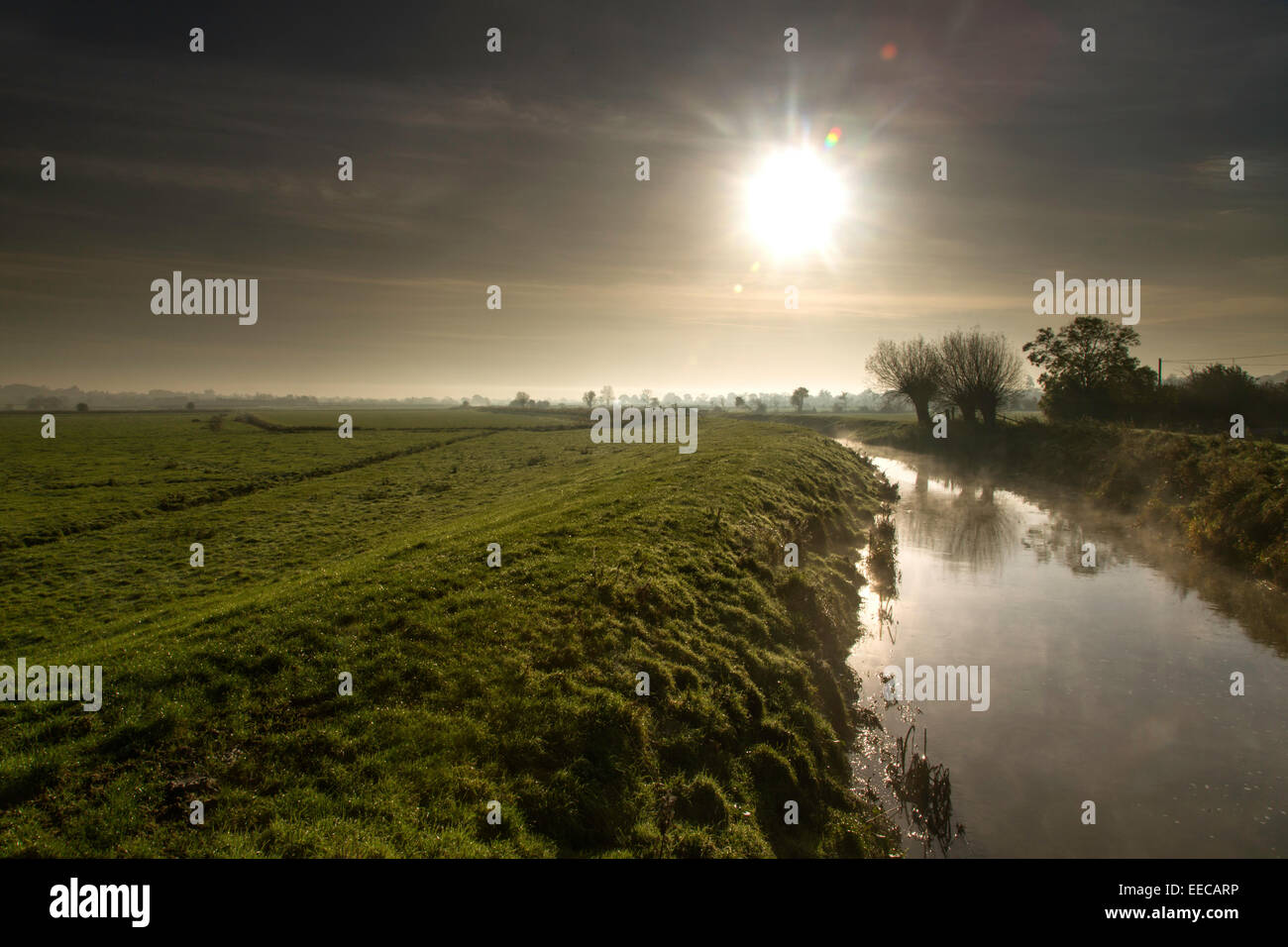 Early morning mist on the River Brue, Somerset Levels, Somerset, England, UK Stock Photo