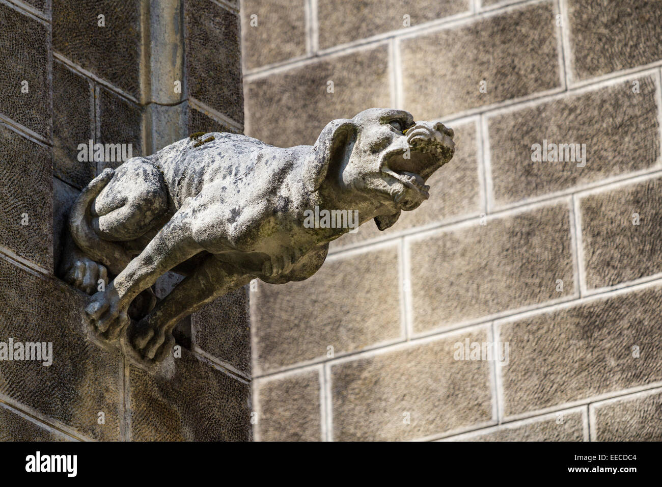 Dog gargoyle hi-res stock photography and images - Alamy