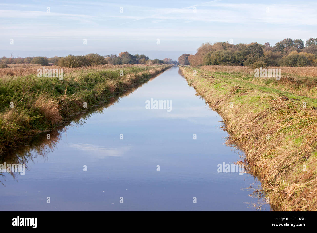 River Brue on the Somerset Levels, Somerset, England, UK Stock Photo