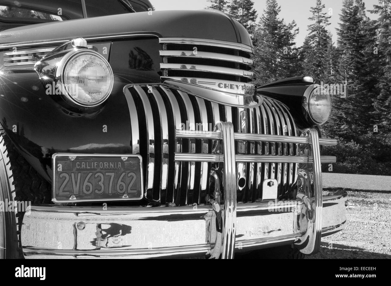 Immaculate 1950's sepia silver chrome Chevrolet pick up truck with Christmas Wreath on fender Mount Shasta & redwoods Stock Photo