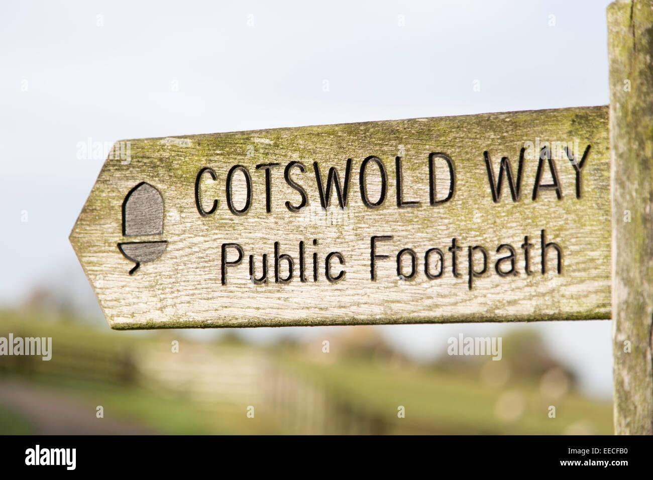 Public footpath sign for the Cotswold Way long distance footpath, England, UK Stock Photo