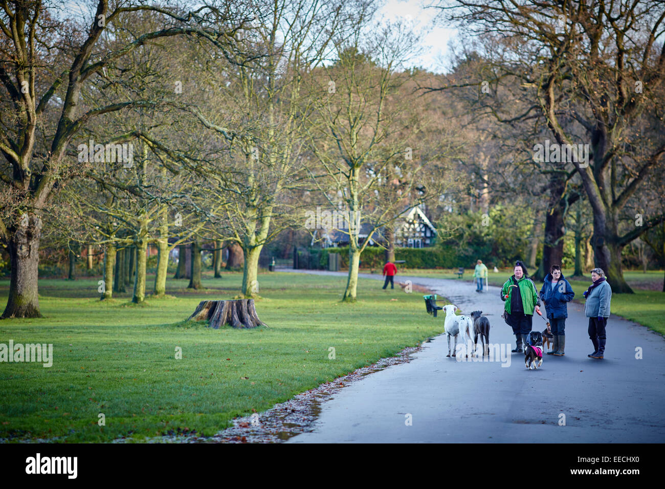 Dog walkers in  Wythenshawe park, Manchester, England. Stock Photo