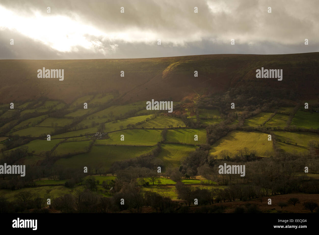 Cat's Back ridge in the Black Mountains, Brecon Beacons, Wales/England ...