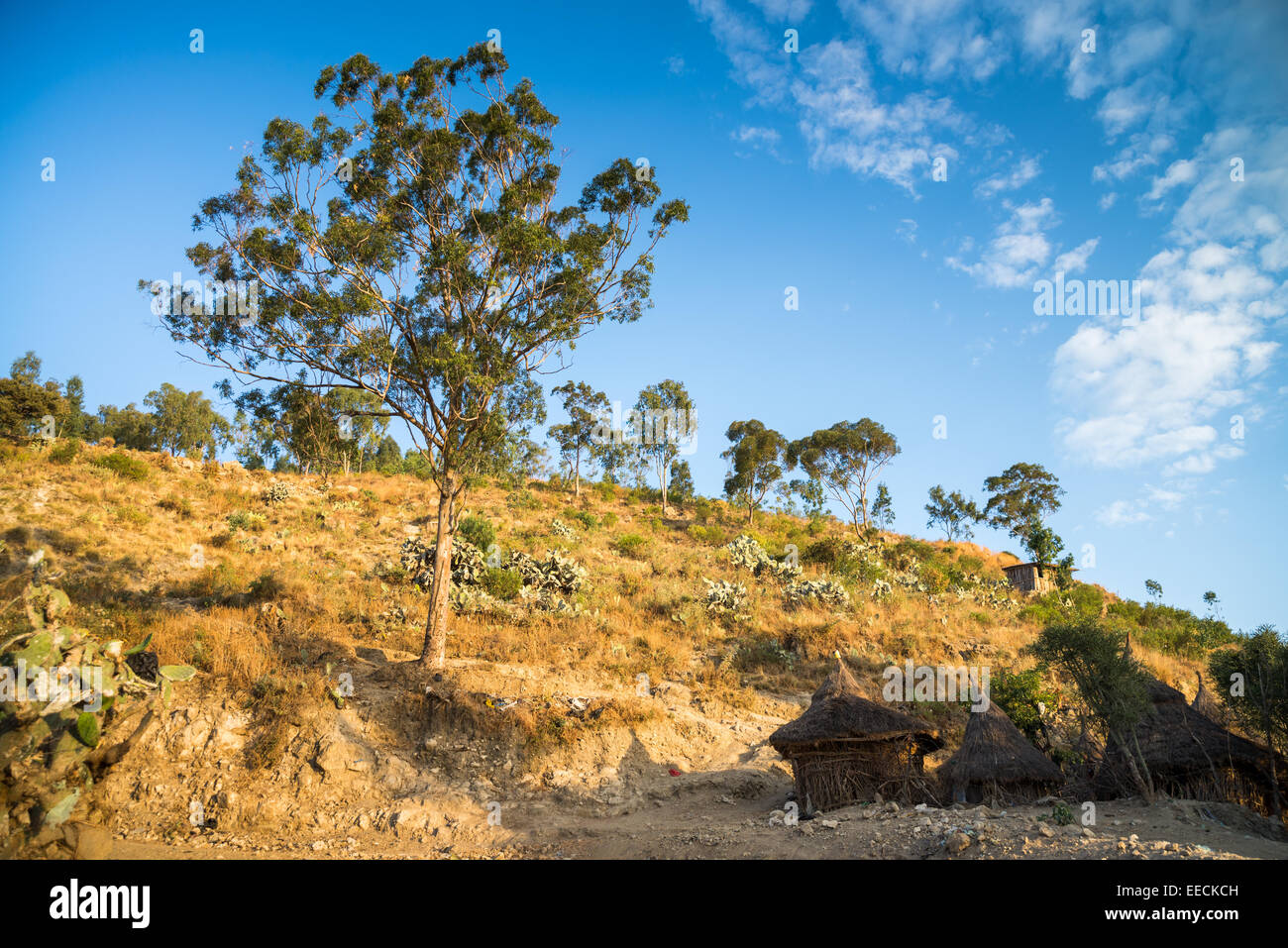 Landscape near of the Mekele, Ethoipia, Africa. Stock Photo