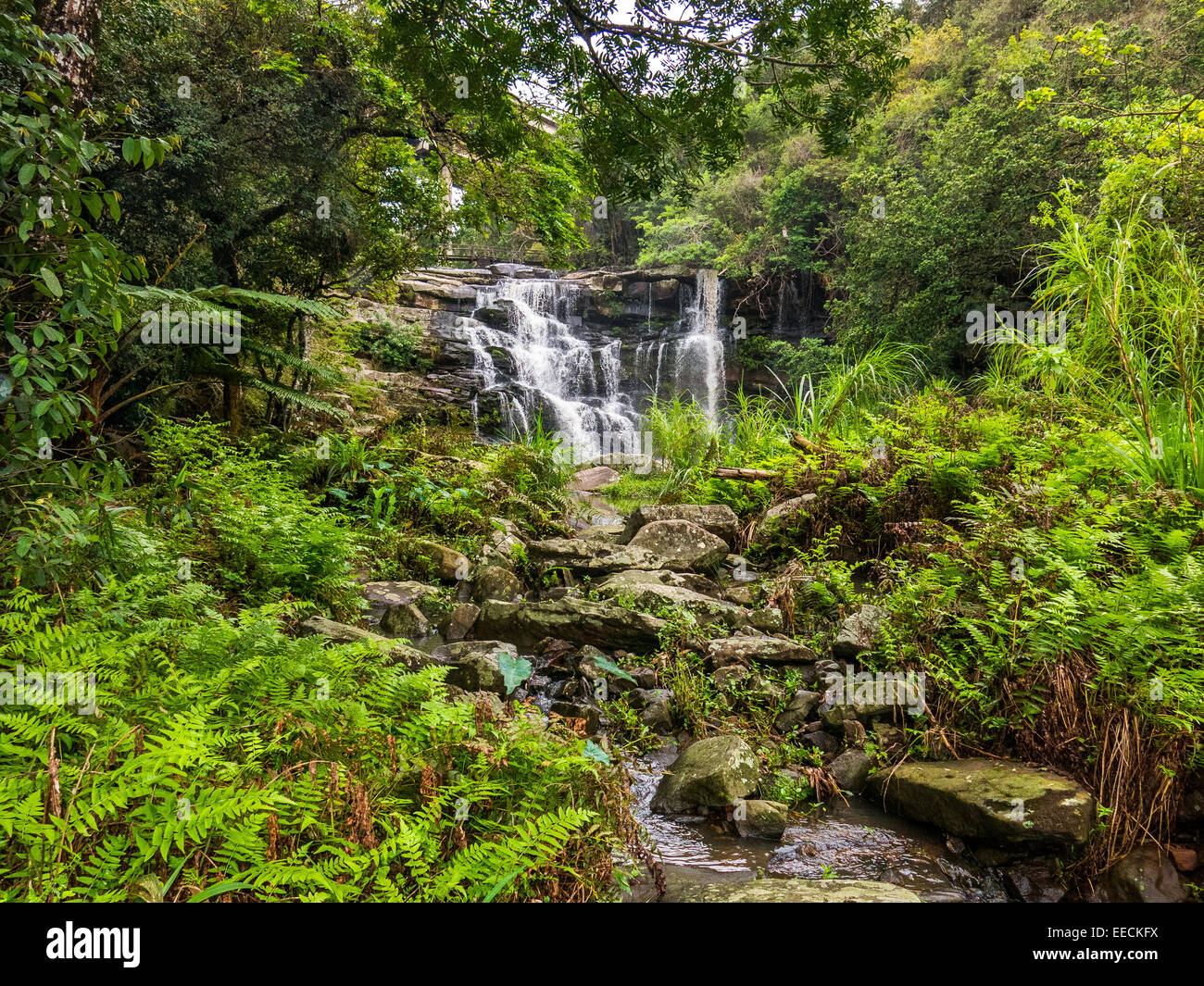 Waterfall in Paradise Valley in Pinetown, South Africa Stock Photo