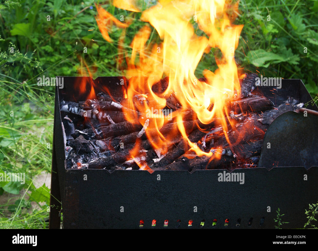 Fire flame in the barbecue Stock Photo Alamy