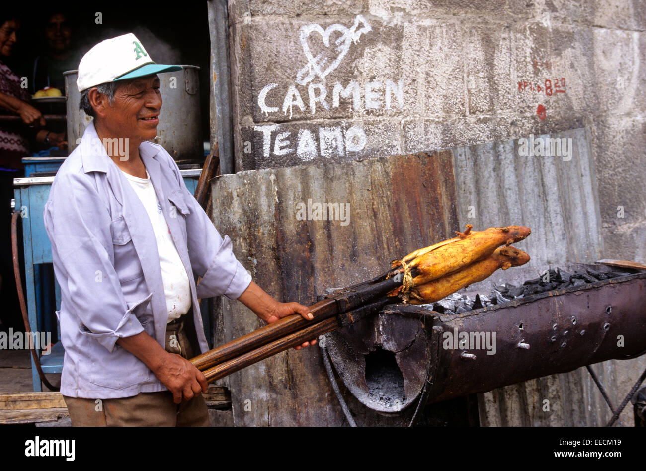 Grilled guinea pigs are considered a delicacy in Quito, Ecuador, South