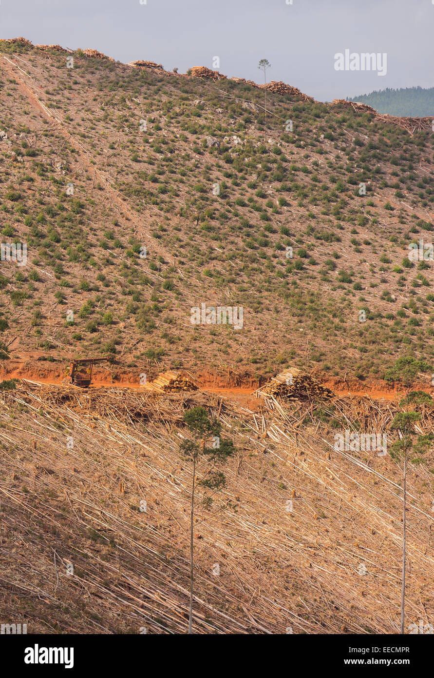 African logging hi-res stock photography and images - Alamy