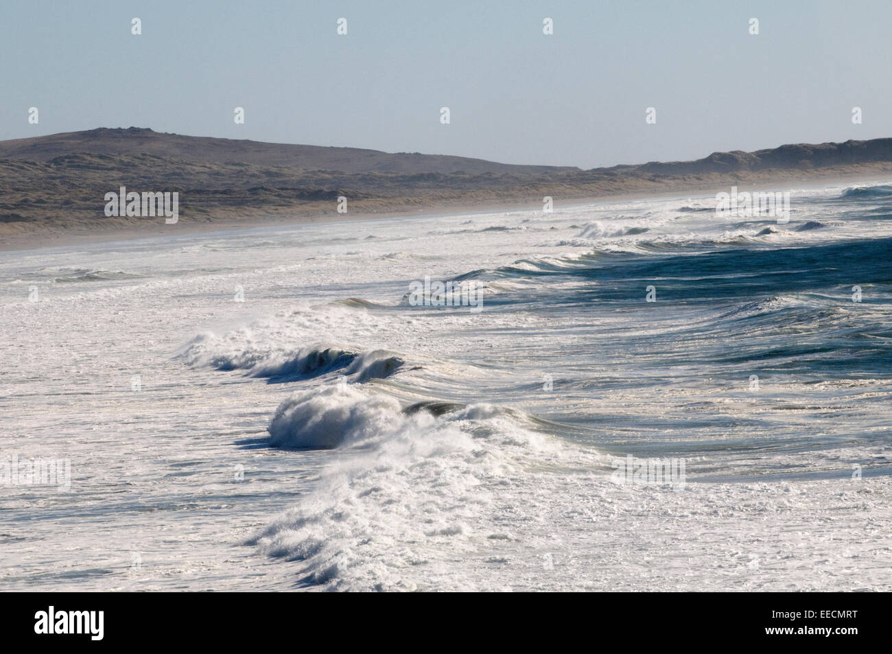 Dunes & beach with ocean waves Sonoma Coast National Park Pacific Coast Northern California USA Stock Photo