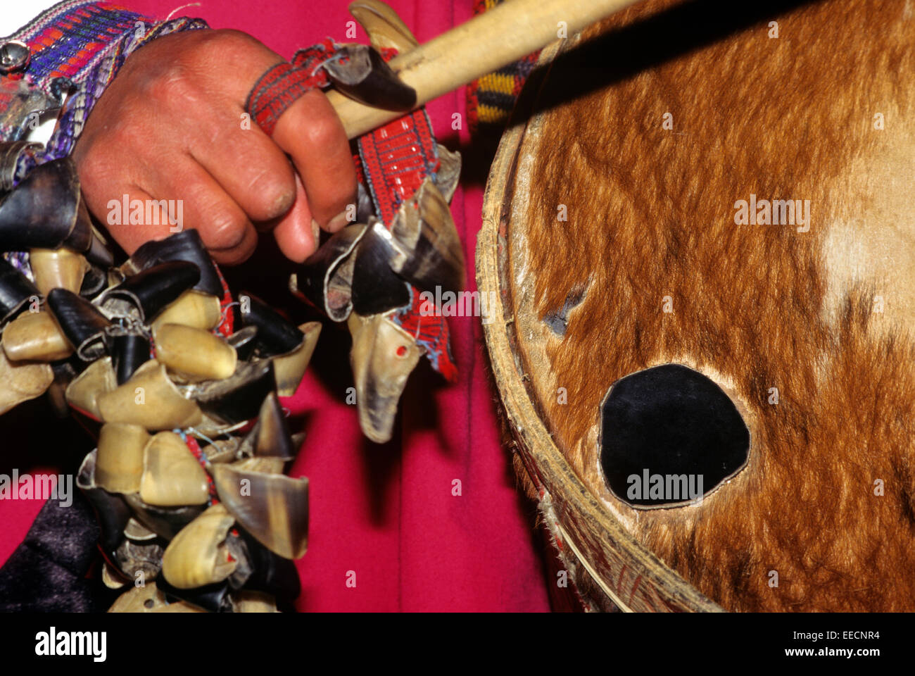 A unique instrument made from cow horns is called a coroneta. Cowhide is also used on this traditional drum, Ecuador, SA Stock Photo