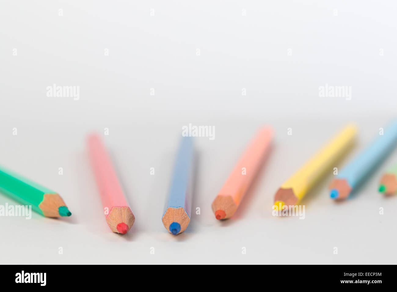 A group of color pencils in a white isolated background, conceptual image of a creative team working together Stock Photo