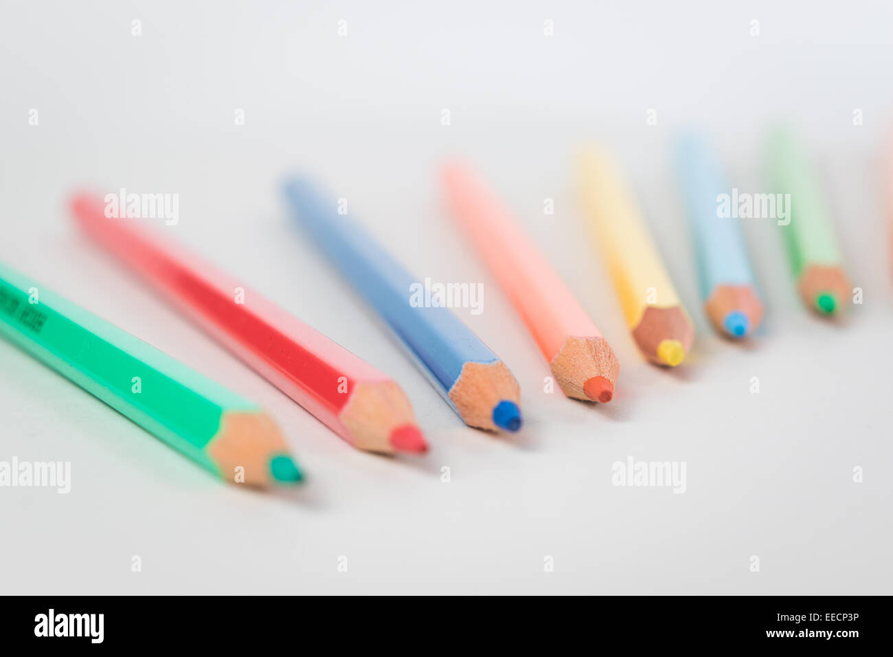 A group of color pencils in a white isolated background, conceptual image of a creative team working together Stock Photo