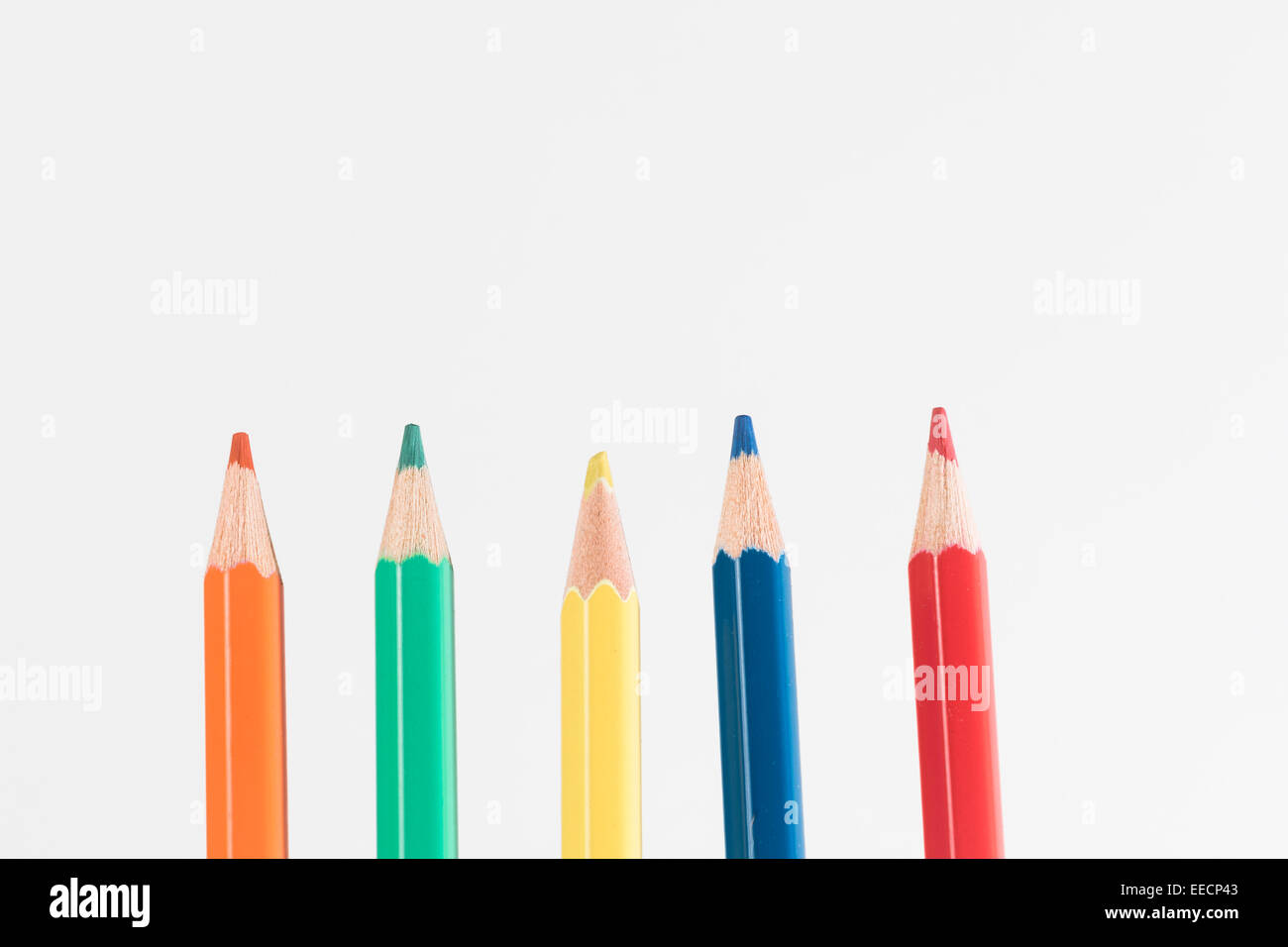 A group of colored pencils, conceptual image of a human creative team following leadership, learning, sharing ideas Stock Photo